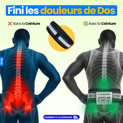 Ceinture de Soutien Lombaire Ergonomique